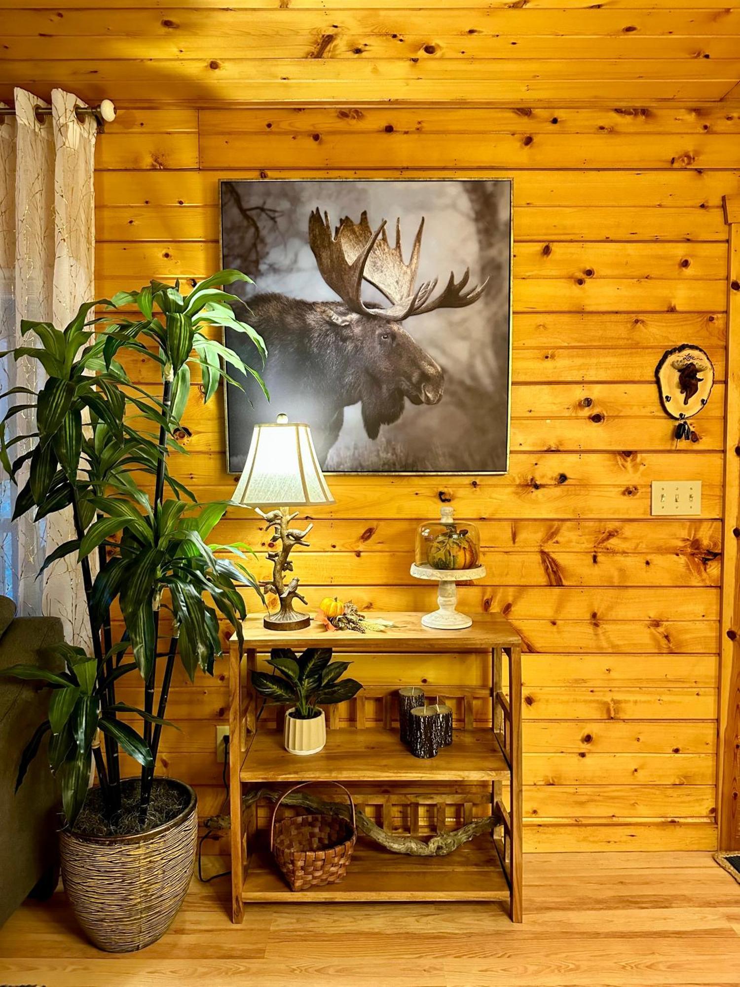 Cozy Cabin In Red River Gorge Rogers Екстериор снимка